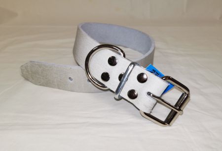 Einreihiges Hundehalsband (Leine) - Chrom
