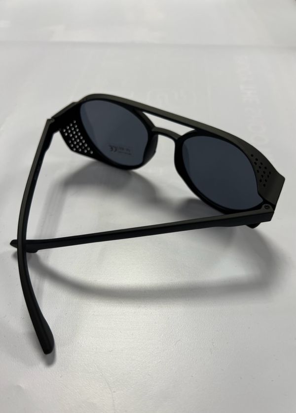 Sunglasses 8231