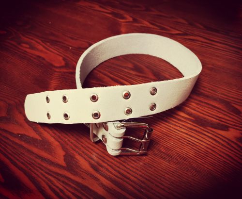 Double-row dog collar (strap) - Chrome